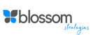 Blossom Strategies Logo Horizontal-1.png]
